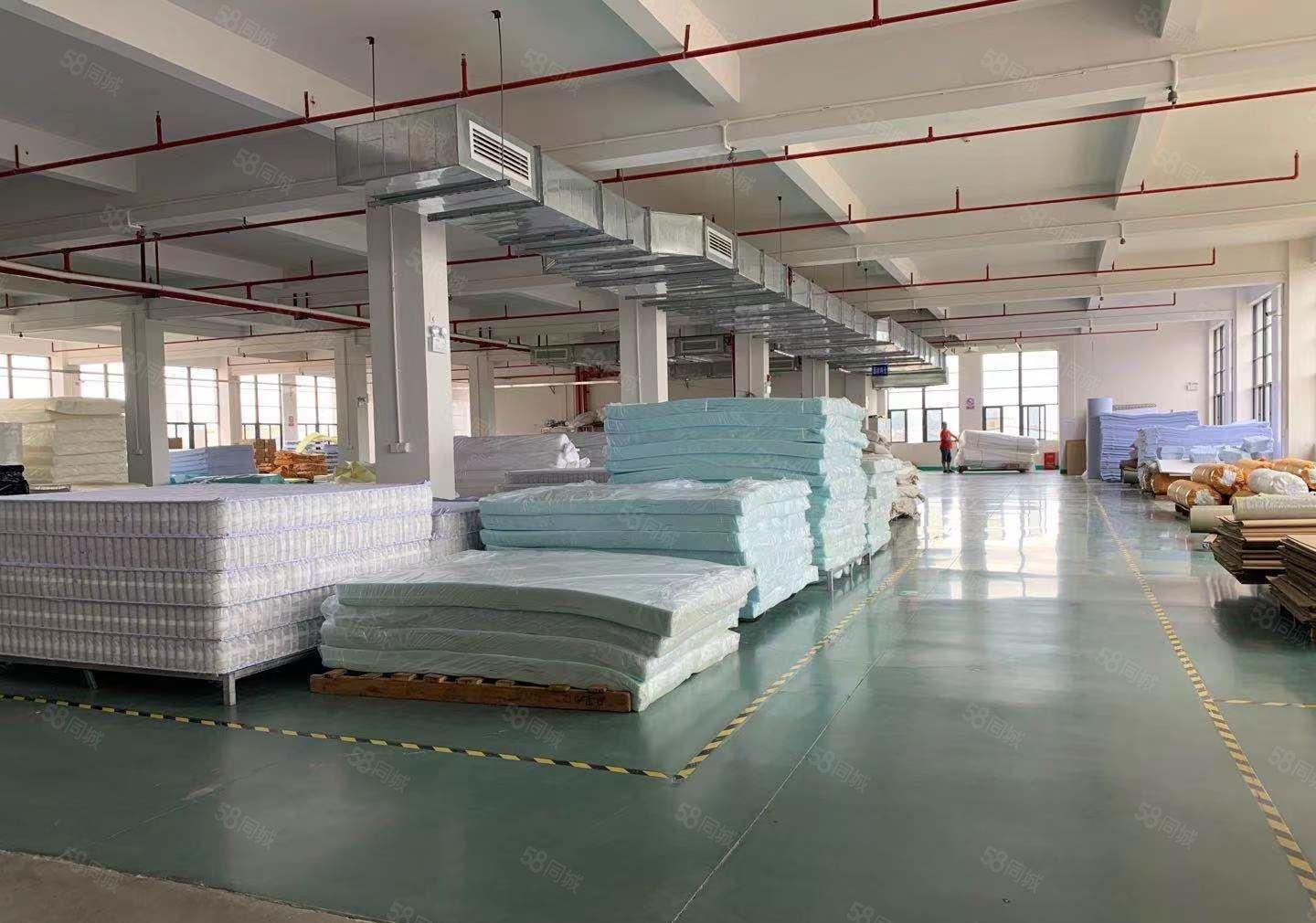 惠阳新出独院豪华装修标准厂房2600平