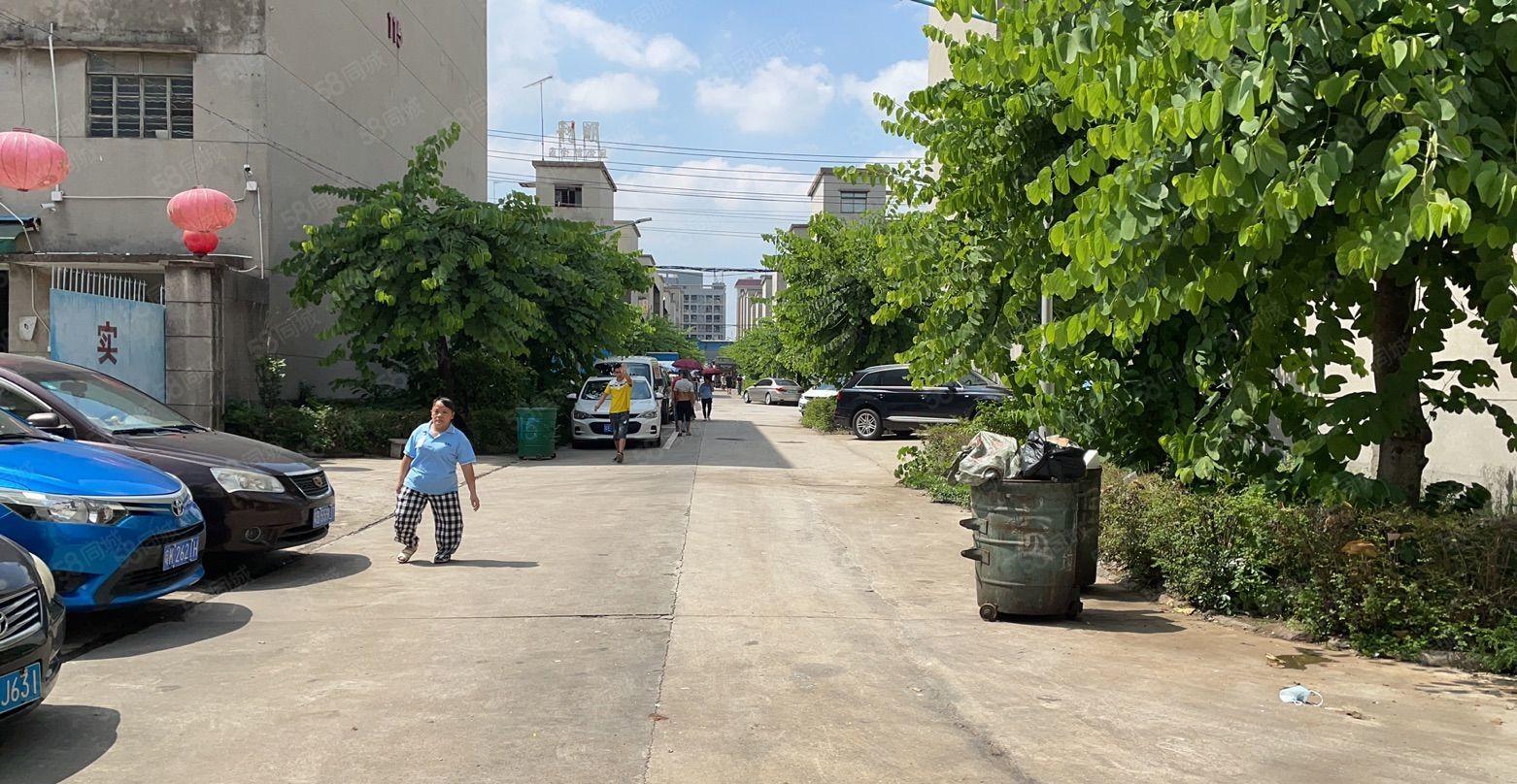 镇隆标准厂房楼上1380平米出租 大小可分