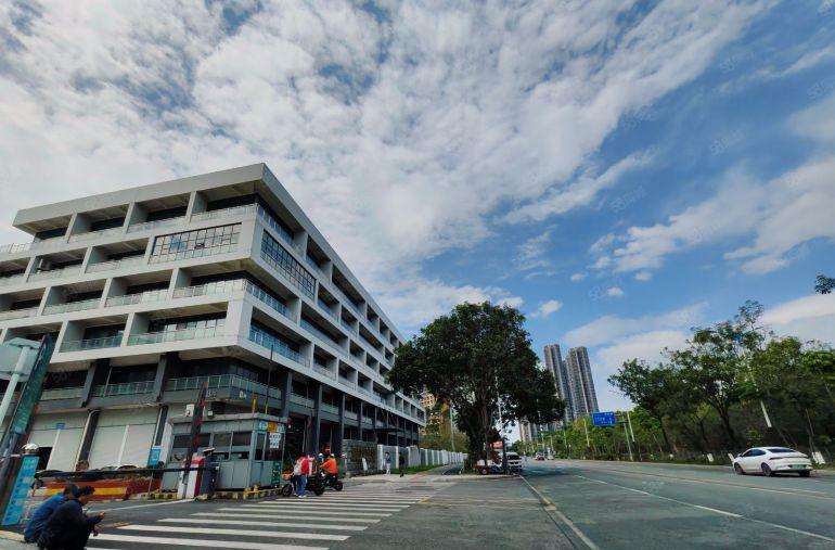 8块精装修！镇隆楼上1000平带办公室厂房仓库出租，形象靓