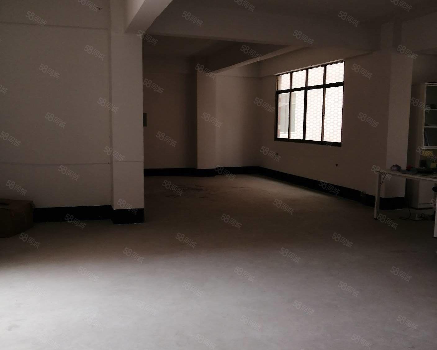 惠阳白石10元全新标准常厂房600平