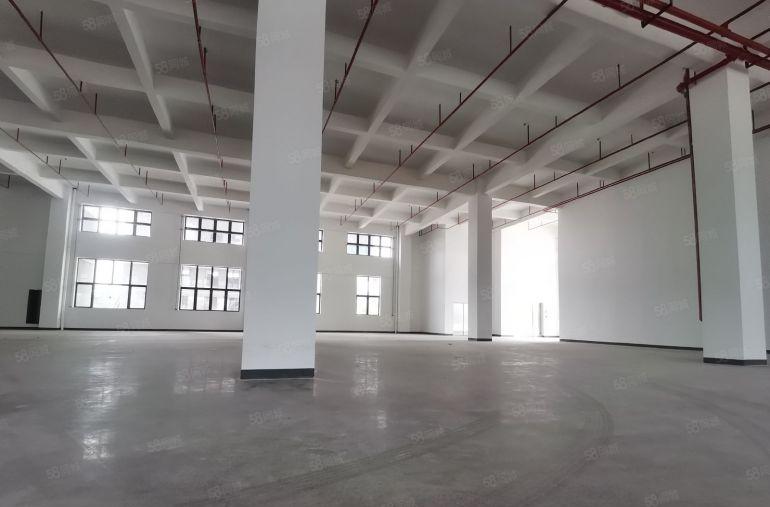 9块，三和经济开发区新出3000平原房东厂房仓库出租，可分租