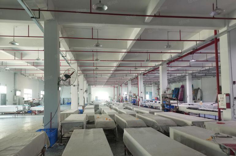 惠阳镇隆原房东大园区红本独栋独院厂房实际面积低价出租可分租