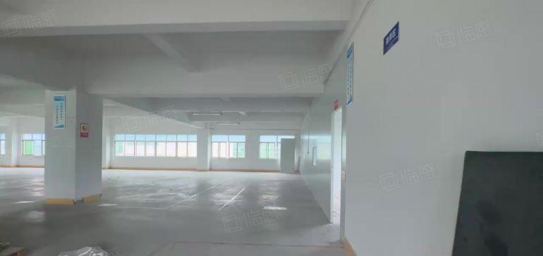 十块！惠阳秋长新出单层一千平实际面积出租厂房仓库 带地坪漆