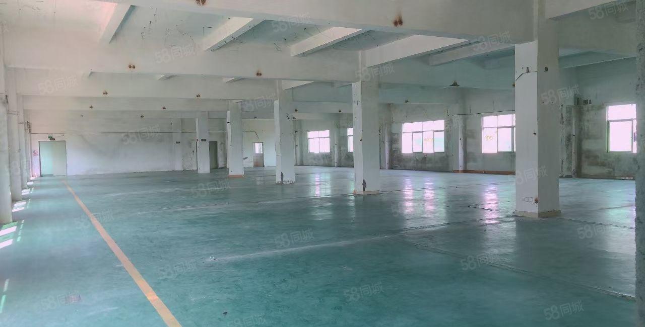 惠阳镇隆万里工业区原房东红本独院6600平方