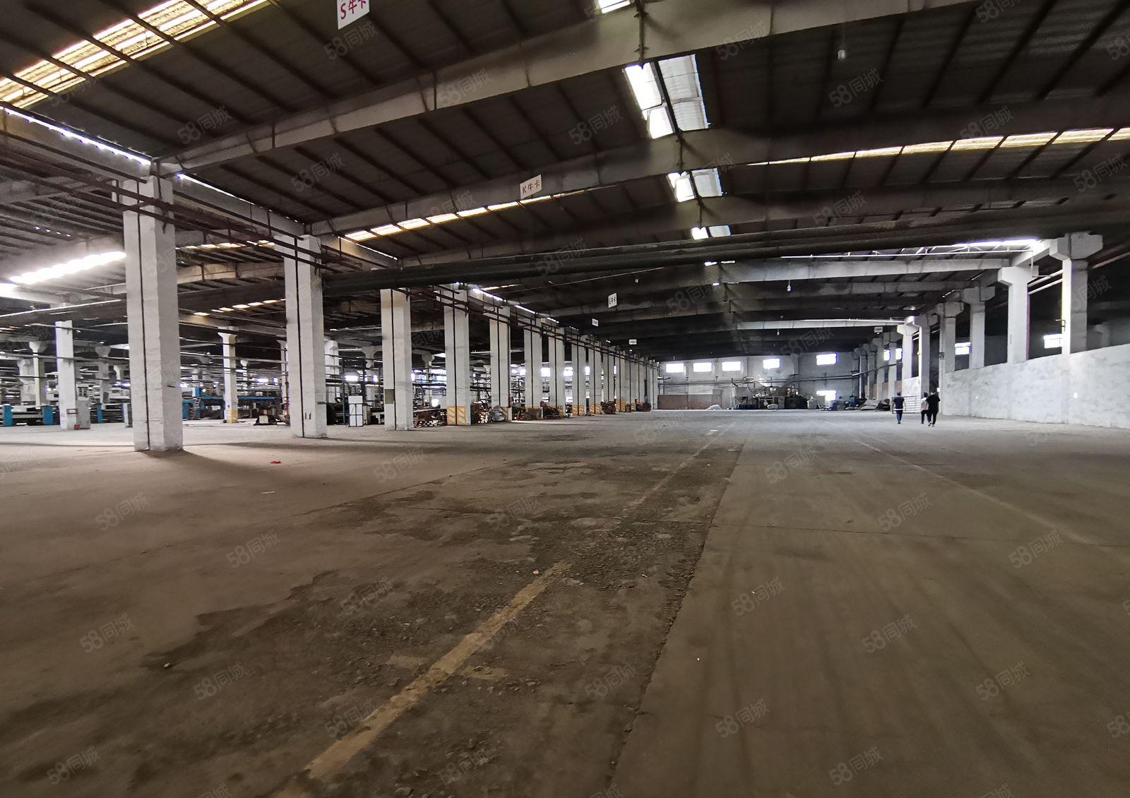 5百平起分租新墟荣健工业园独栋8千平标准红本钢构仓库厂房出租