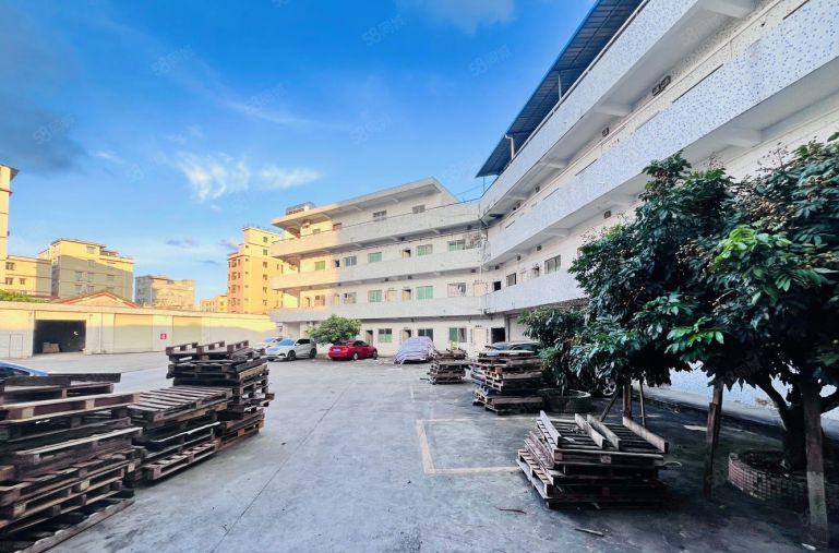 9块在秋长新塘秋租7米高钢构10000平可分租有精装修办公室