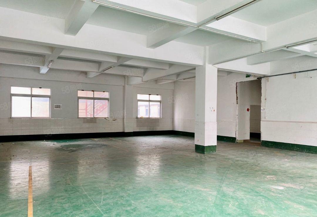 惠州市惠阳区镇隆标准小独院可办理环评可分租厂房急租