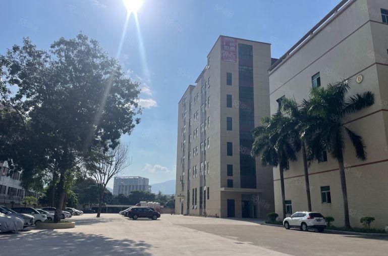 10元零公摊！惠阳沙田5600平原房东厂房仓库低价出租可分租