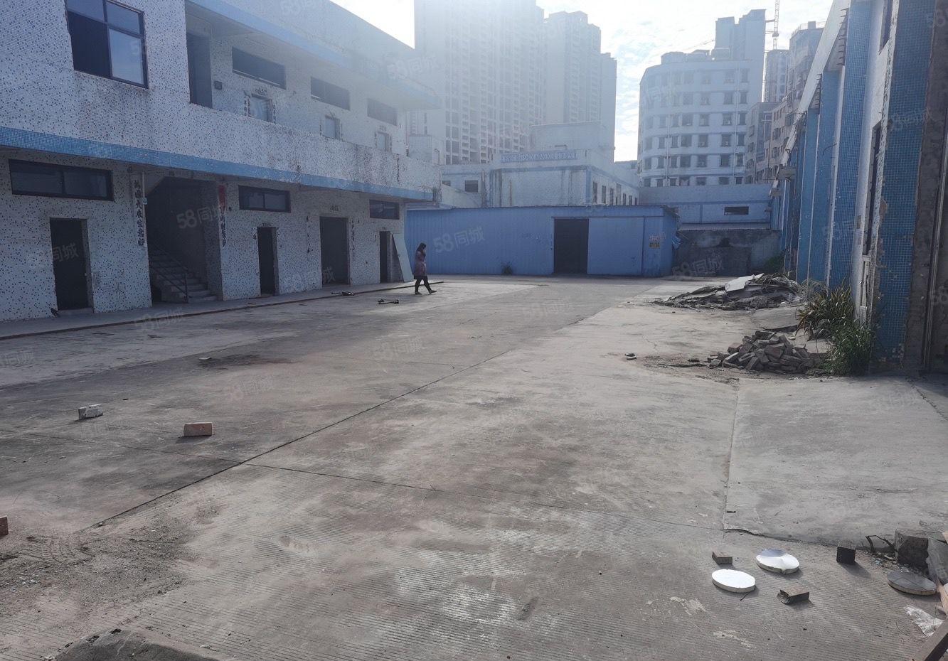 可分租！惠阳新圩独门独院钢构厂房出租8万方国道旁临深路段