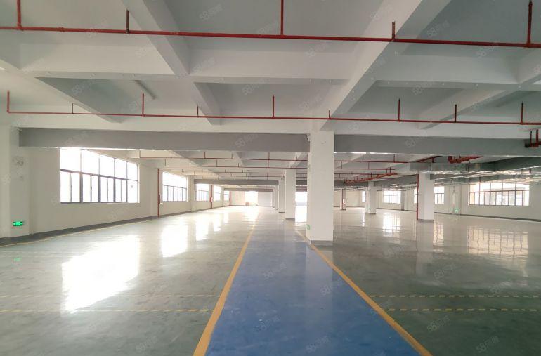 10元无公摊！新圩原房东9000平方红本厂房仓库出租可分租