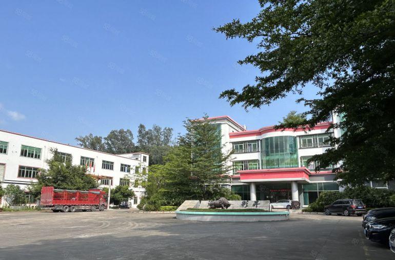 淡水临深原房东独门独院16000平无公摊实际面积出租