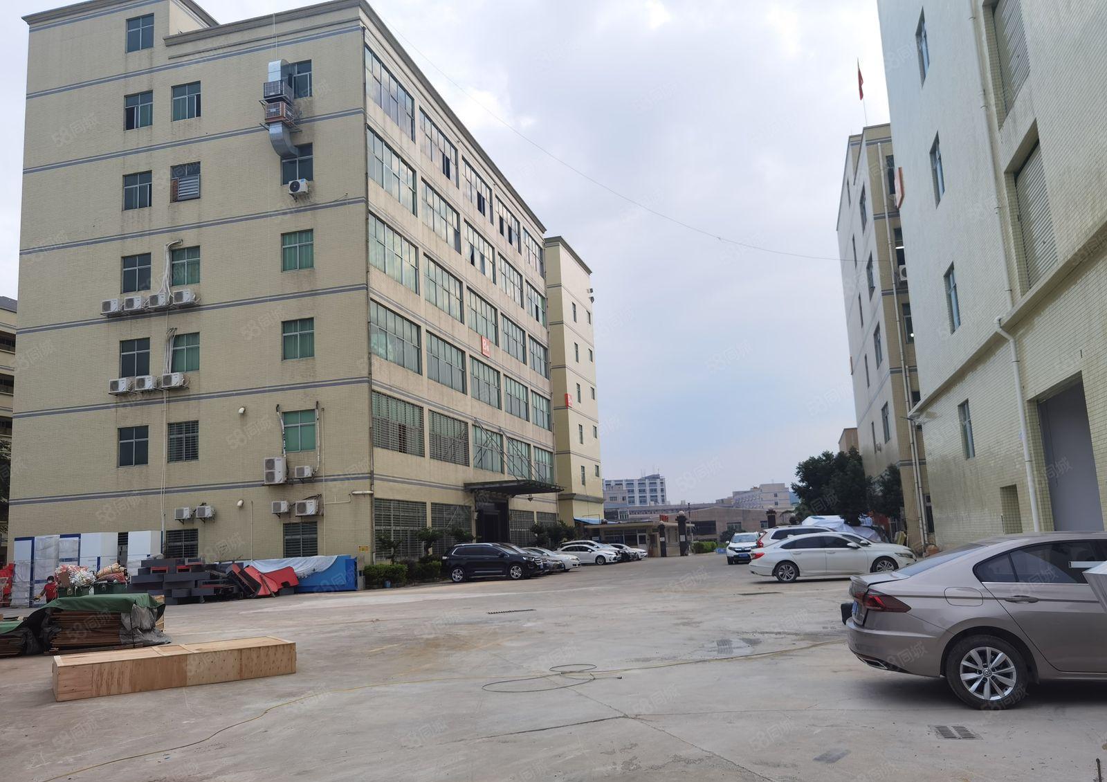 惠州惠阳新圩镇东风原房东独门独院标准厂房隆重招租