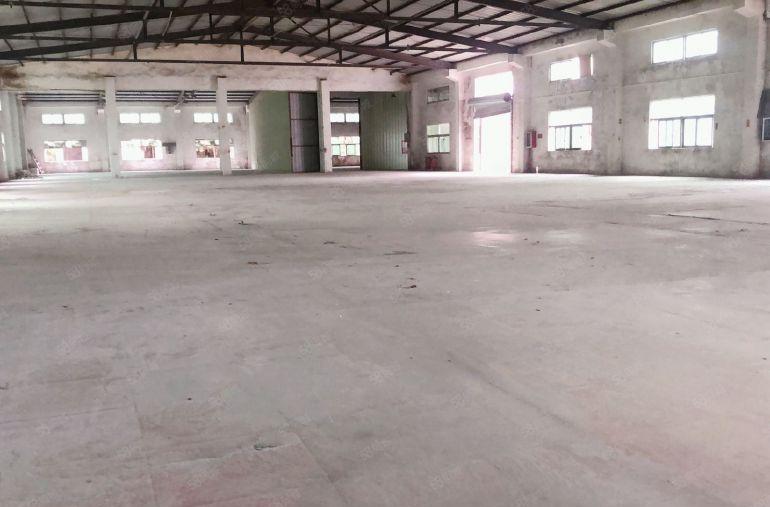 13块！新圩临深独院，3500平可分租，钢构厂房出租滴水7米