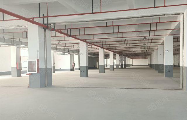 惠阳镇隆独院原房东标准厂房5100平方出租 可分租