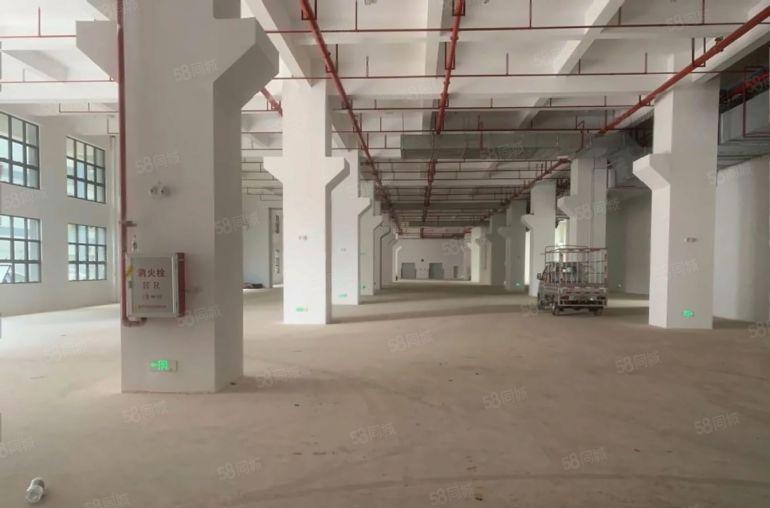 9块！淡水中心区原房东厂房8000平米仓库出租带精装修可分租