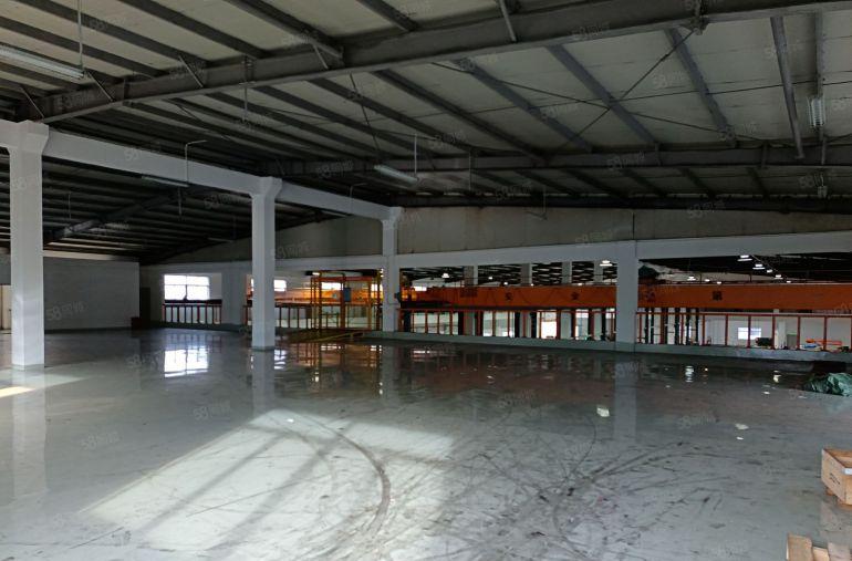 惠州市惠阳区原房东6000平米红本钢结构厂房出租，高度12米