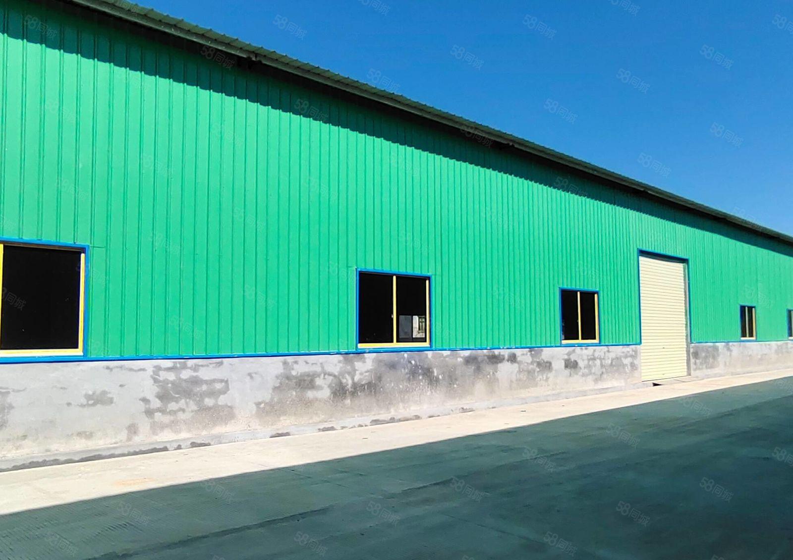 镇隆工业园7米高铁皮房2000平，可分租