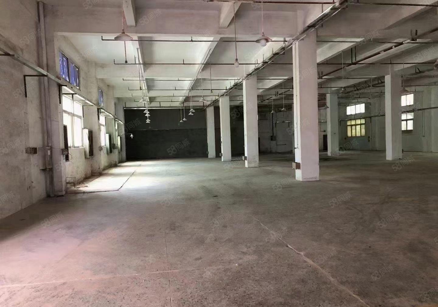 红本厂房出租可围独门独院