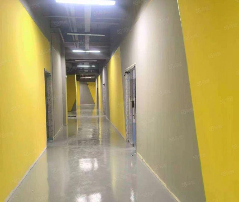 惠阳站附近全新红本花园式厂房20000平方大小分租包装修