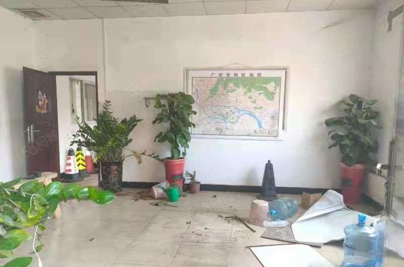 镇隆高速出口附近 单一层独院8000平出租 滴水8米可办环评