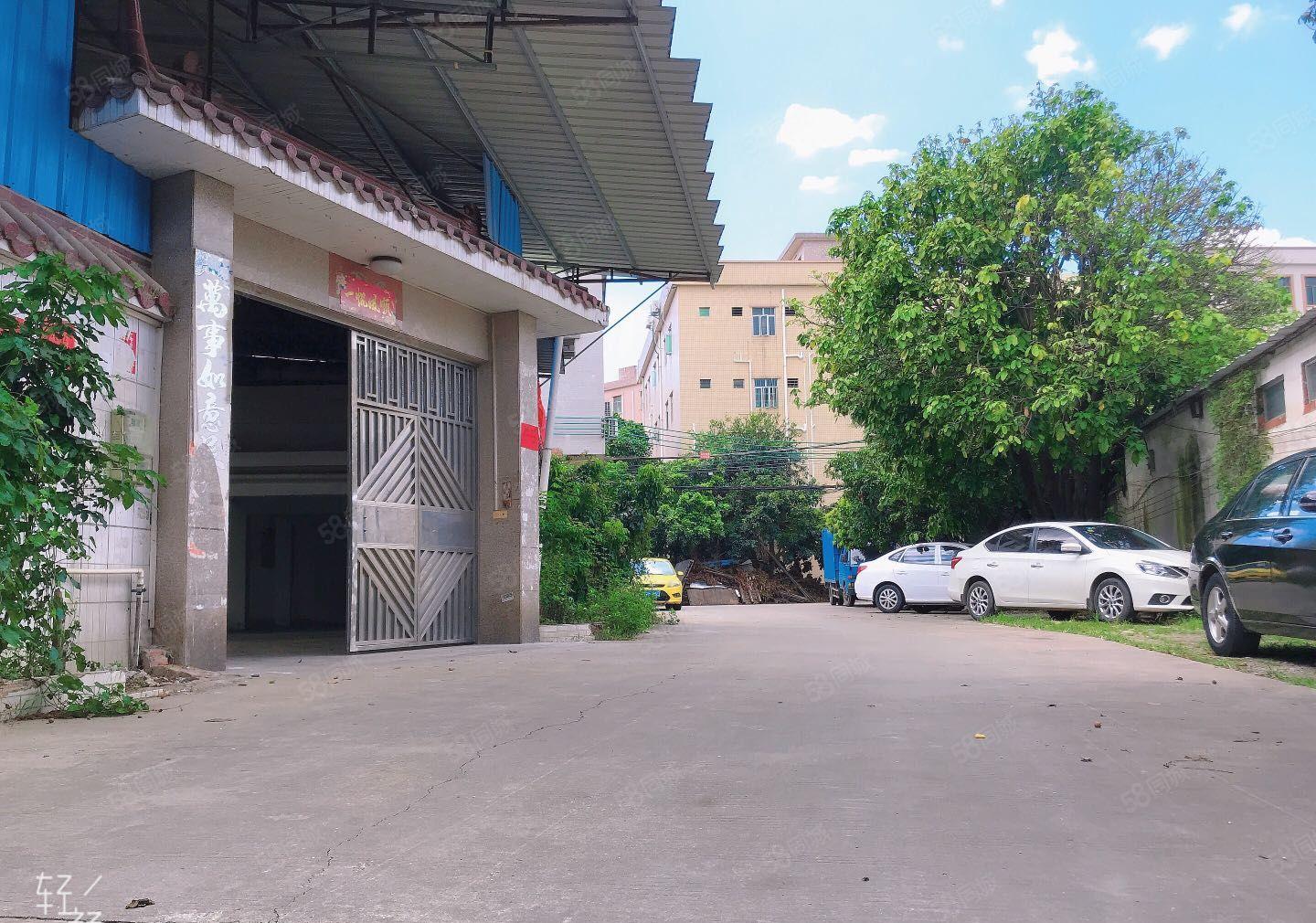 惠阳新圩塘吓精装修滴水6米独院单一层厂房1000平招租。