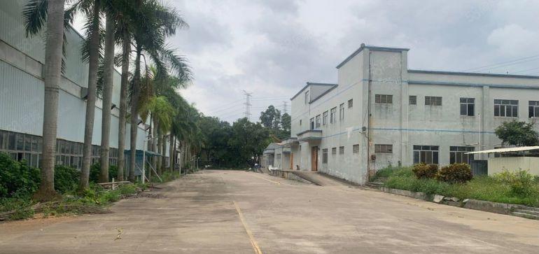 厂房出租沙田超大单一层钢构低价厂房15000平自带五金环评