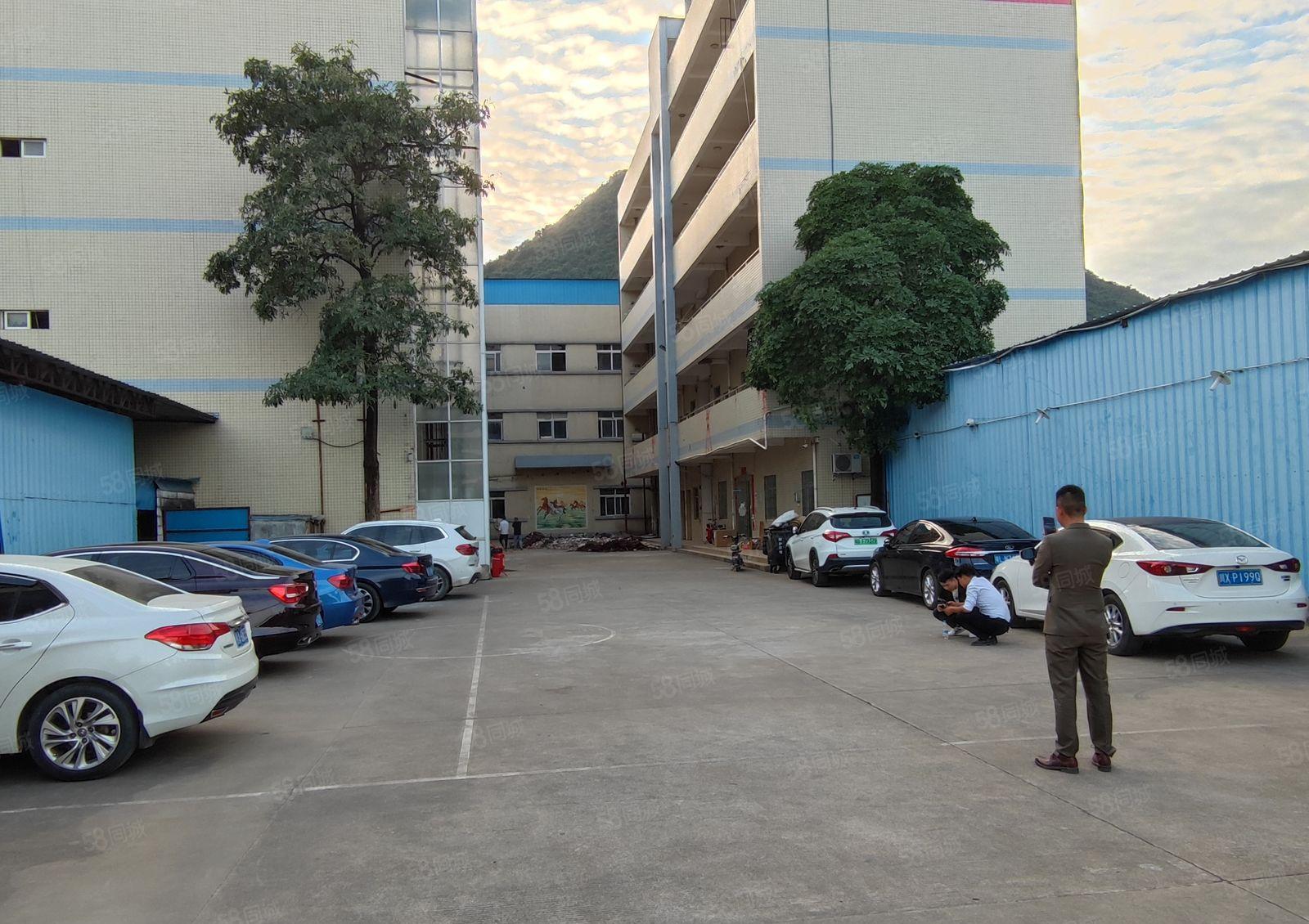 惠阳区镇隆镇高速路口10000平独院标准厂房出租