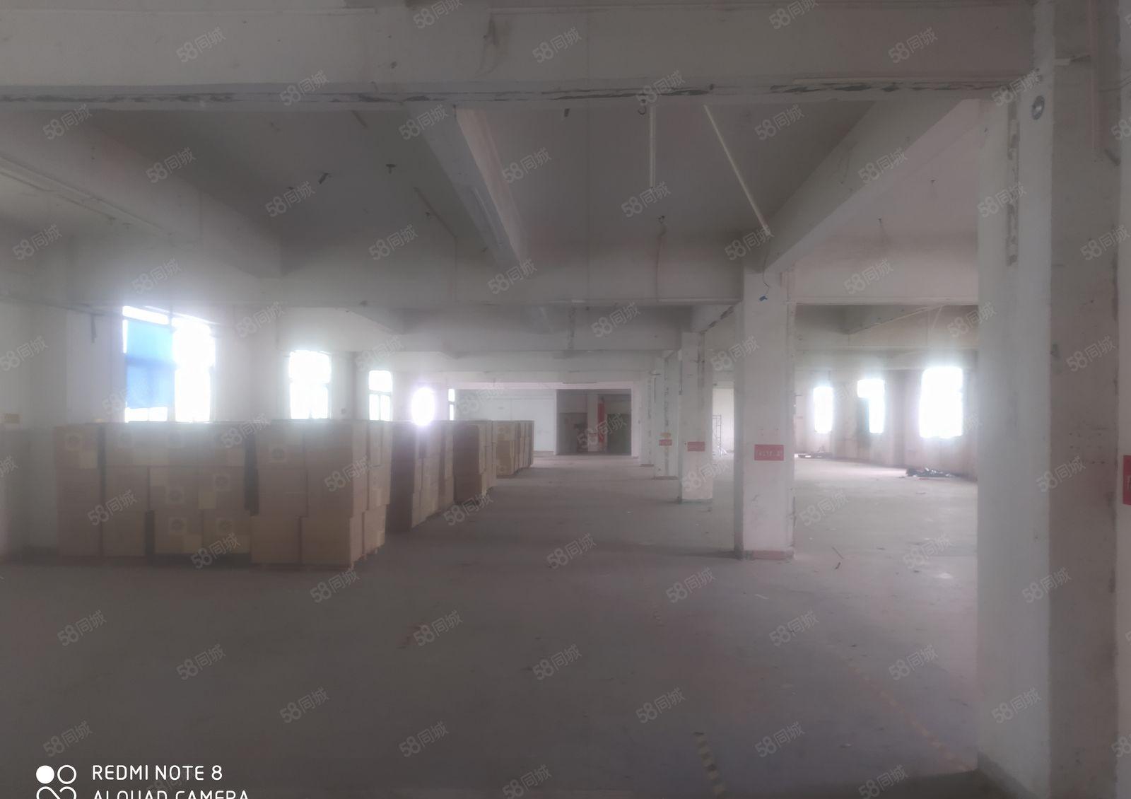 惠阳新圩新出原房东厂房分租一楼500平现成水电低价出租