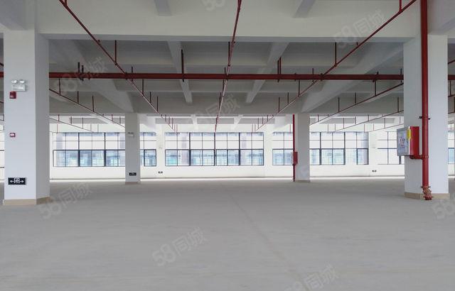 惠阳沙田3楼1600平原房东红本精装修厂房急租500平可分租