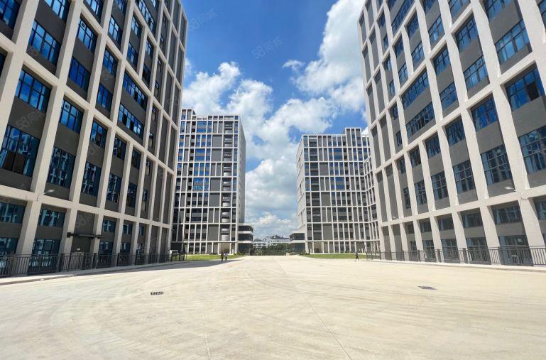 惠阳三和经济开发区全新厂房7元特价原房东无公摊500平起分租