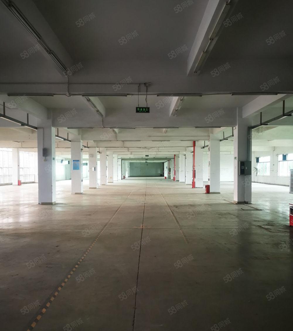 惠阳全新2000标准多层独院厂房大小好分租价格好谈证件齐全