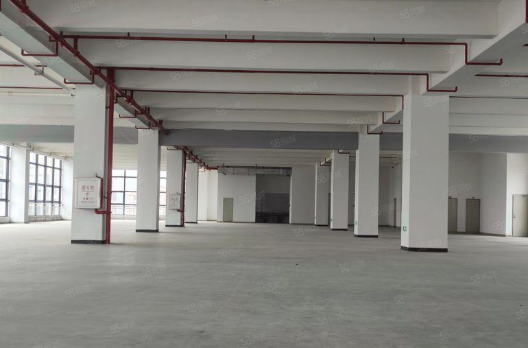 惠阳秋长全新红本厂房19700平，独门独院