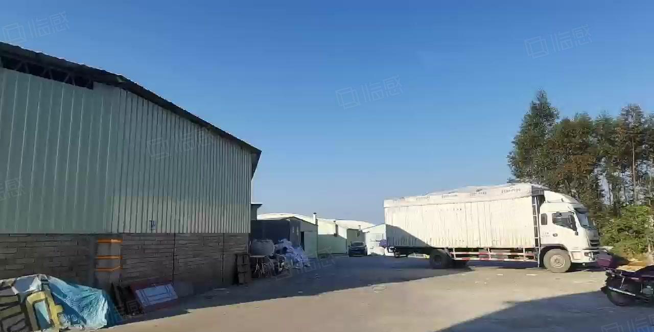 沙田3000钢构厂房招租500起分，破碎，颗粒无限制行业