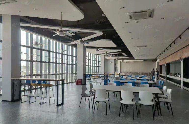 2000平红本厂房，0公摊租售。