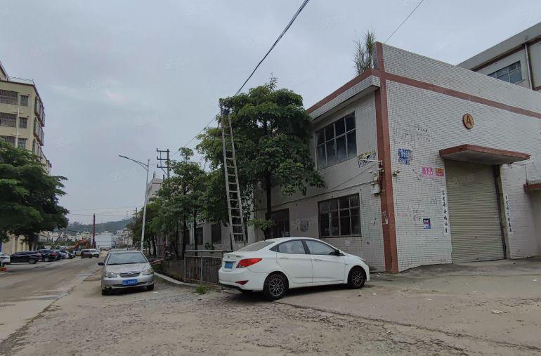 惠阳新圩镇长布工业区准独院1700平方砖墙到顶单一层