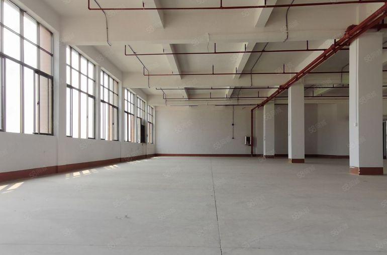 独院红本厂房出租 原房东 4800平方 可分租 带1千平空地