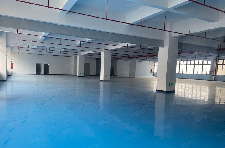 镇隆原房东楼上单层面积2000平现成装修厂房低价出租