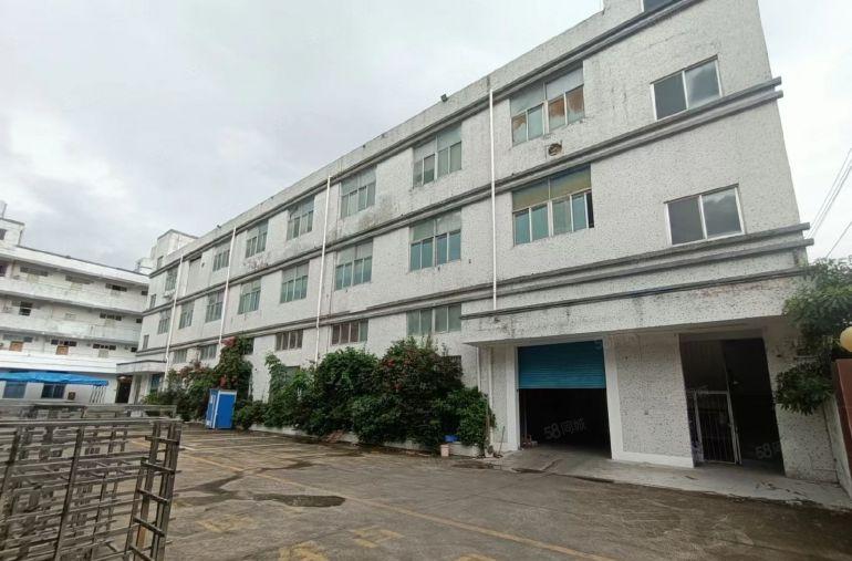 惠阳新圩独门独院5000平仓库厂房出租一楼高6米200平起租