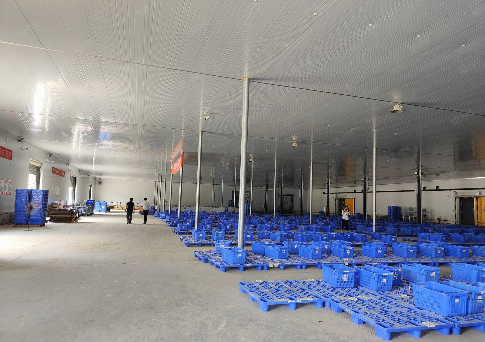 惠州 惠阳 红本钢构2.78万平米出租，滴水10米，交通便利