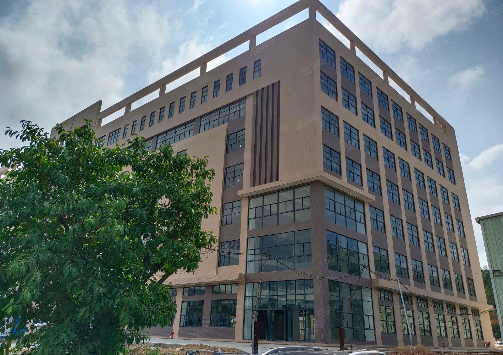 急租5吨货梯 惠阳秋长维布6000平米厂房出租大小分租带红本