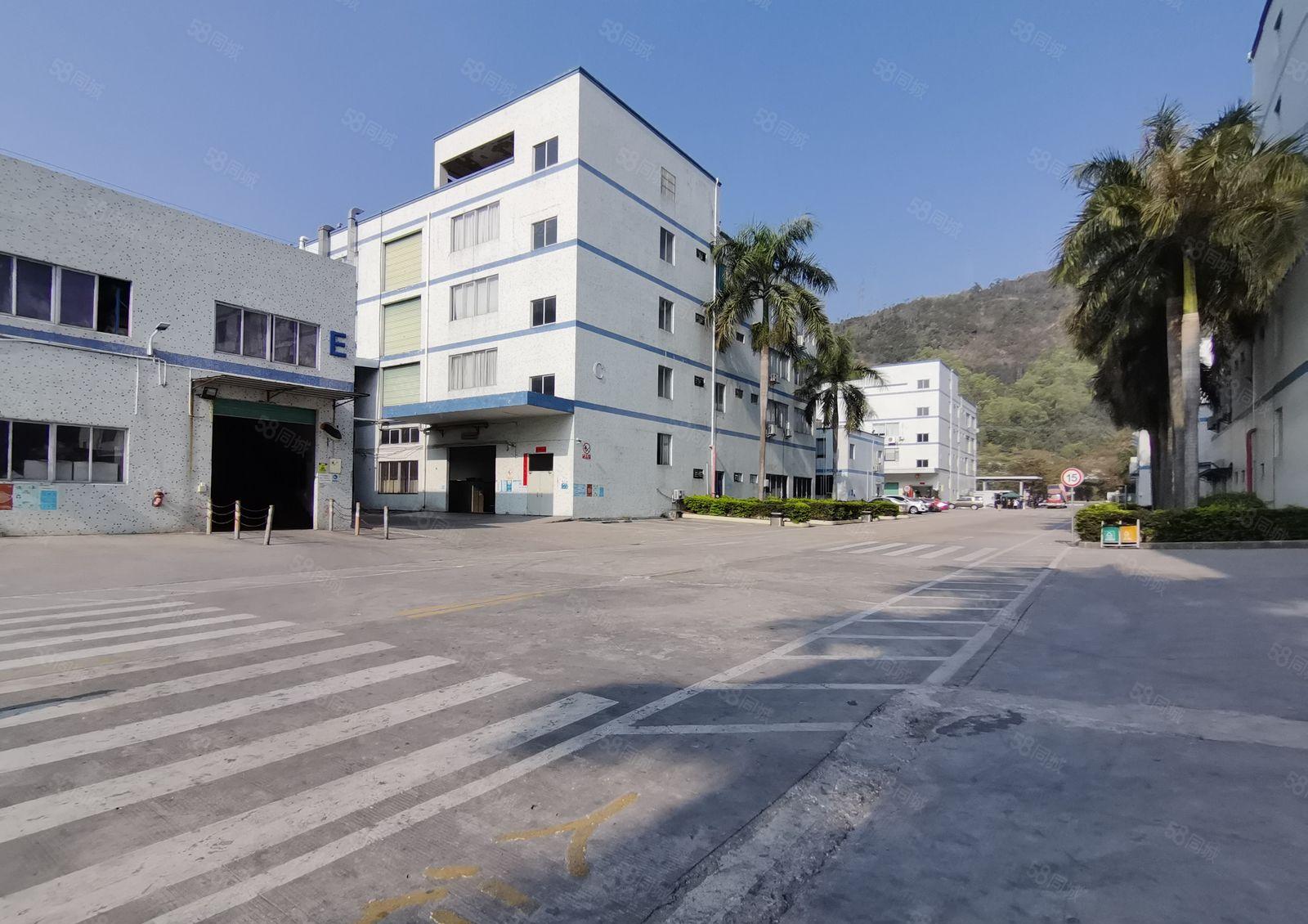 沙田长龙岗工业区独院5000平厂房出租800平起分可办环评