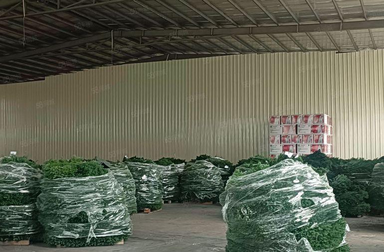 惠阳新圩205国道边红本钢结构厂房1500平方米招租