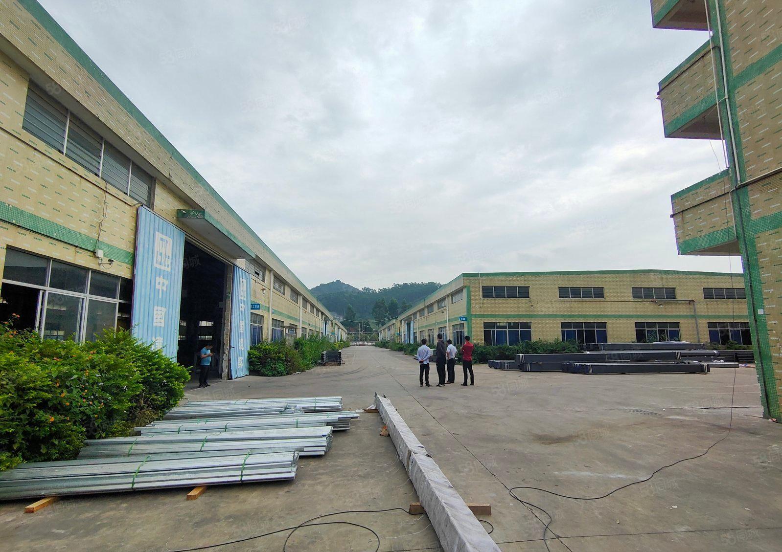 镇隆单一层钢结构9米高红本厂房12000平米出租（可分租）