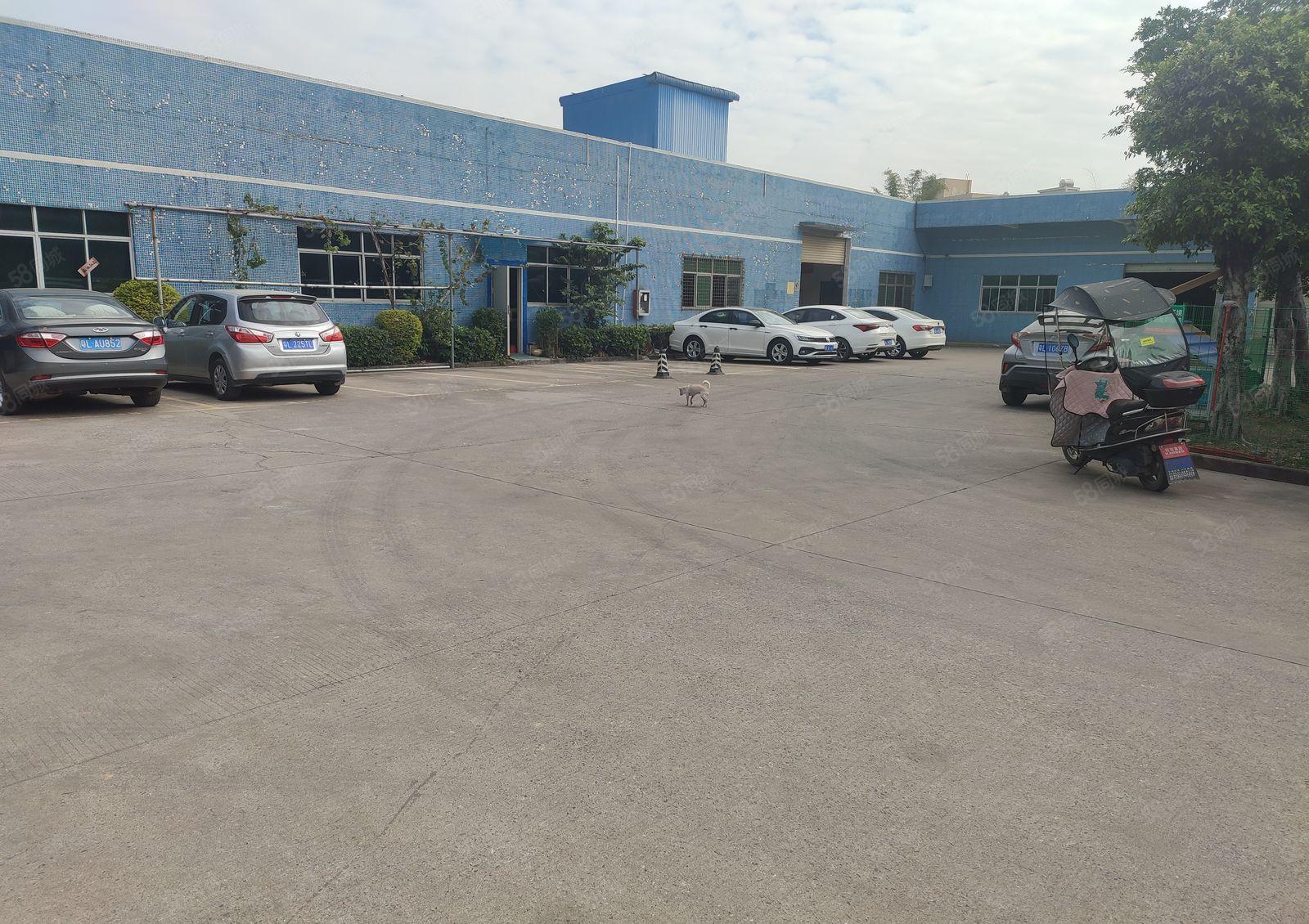 新圩长布村标准厂房950平方出租可办环评用电按需周围无居民
