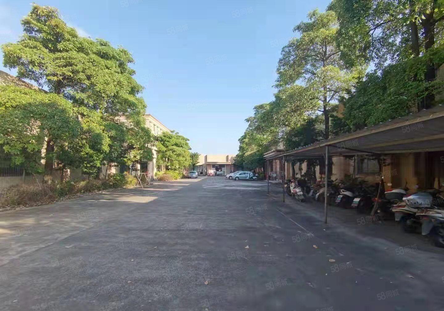 惠阳沙田田头独院单一层4700平方带红本