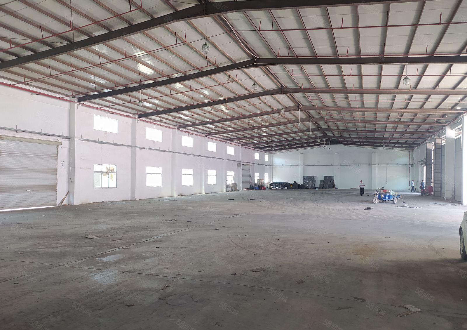 惠阳新圩临深片区独门独院厂房出租5000平大小分租滴水8米