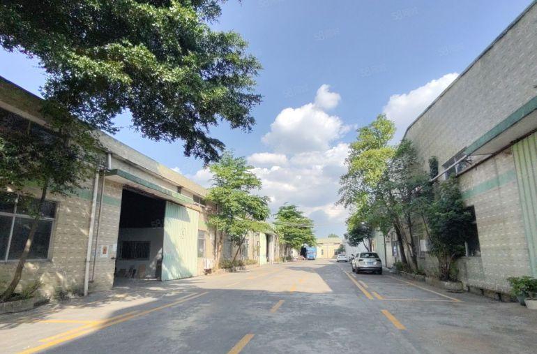 惠阳秋长独门独院厂房出租钢构厂房2500平整栋可仓库出租空地