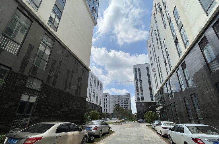 全新一手装修出租 开发商直租 所有配套齐全 12元起租