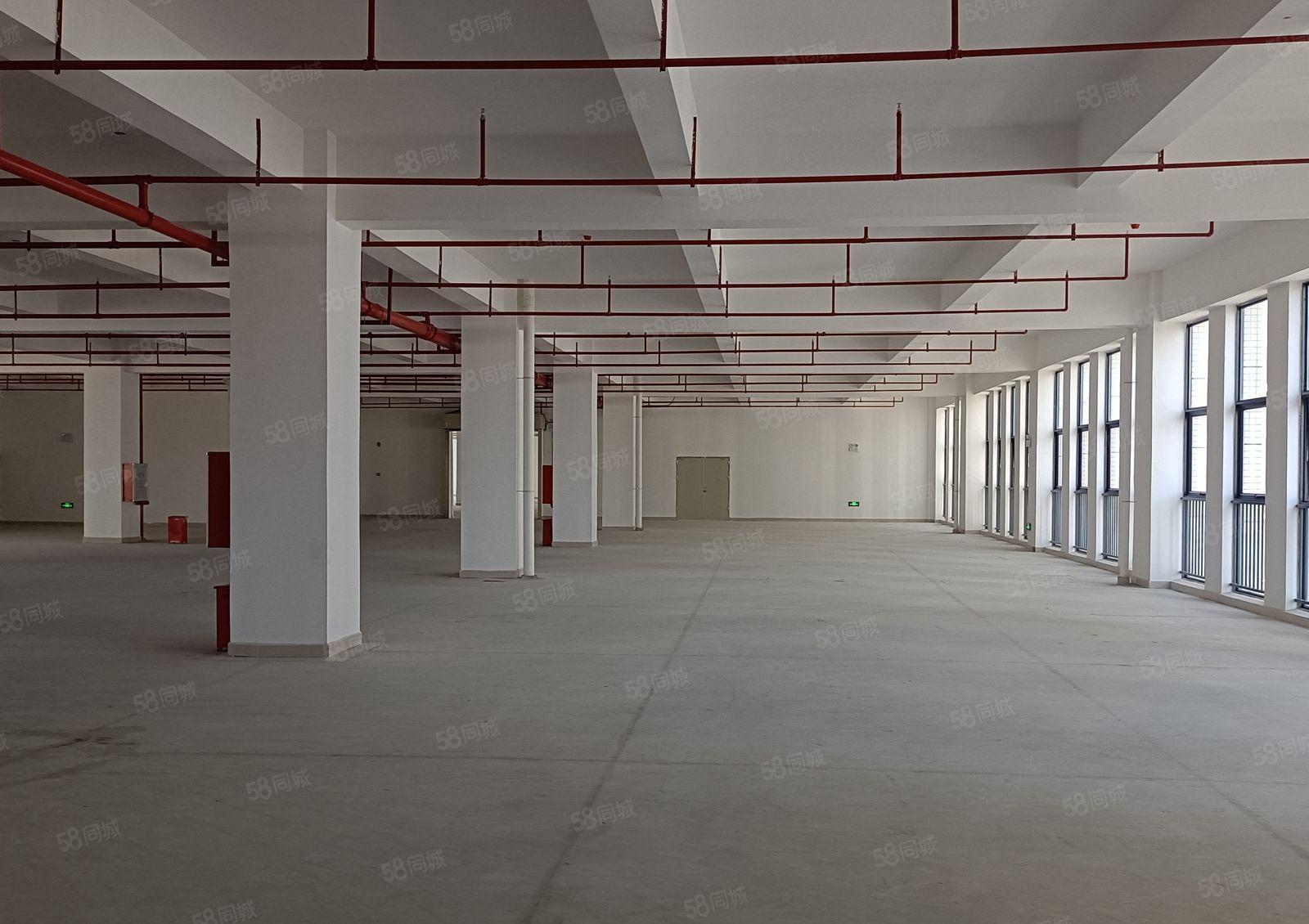 惠阳秋长可办环评标准厂房 家具厂房五金厂房制造业厂房招租