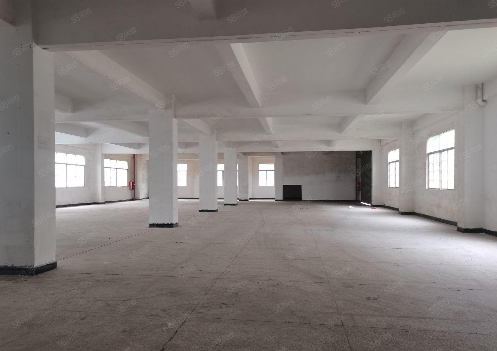 镇隆主干道边原房东独院厂房4000平方出租